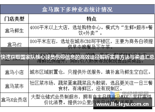 快速获取国家队核心球员伤停信息的高效途径解析实用方法与渠道汇总