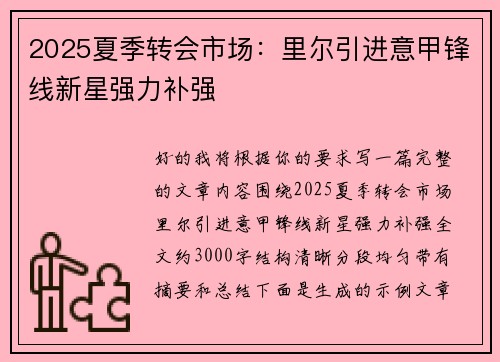 2025夏季转会市场：里尔引进意甲锋线新星强力补强