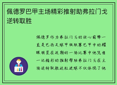 佩德罗巴甲主场精彩推射助弗拉门戈逆转取胜